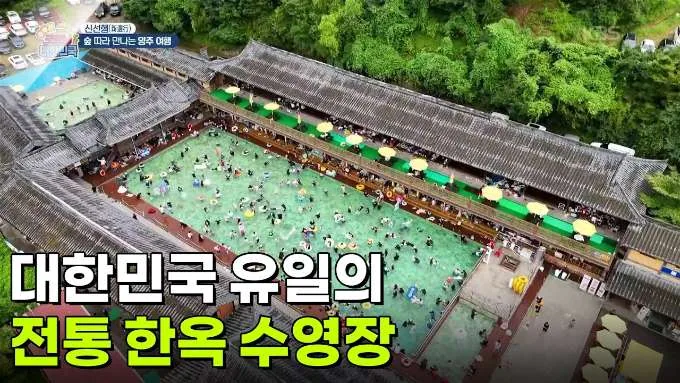 장흥한옥수영장에서 사람들이 물놀이하는 방송 화면.