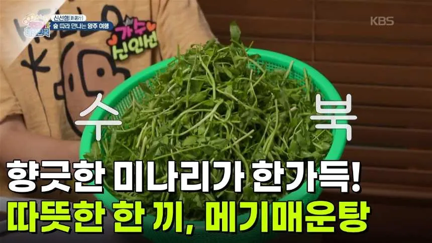 섬진강메기매운탕의 매운탕이 냄비에서 끓고 있는 방송 화면.